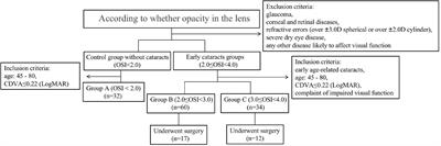 Evaluation value of subjective visual quality examination on surgical indications of the early cataracts based on objective scatter index values